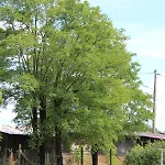 Les Terrasses فندق